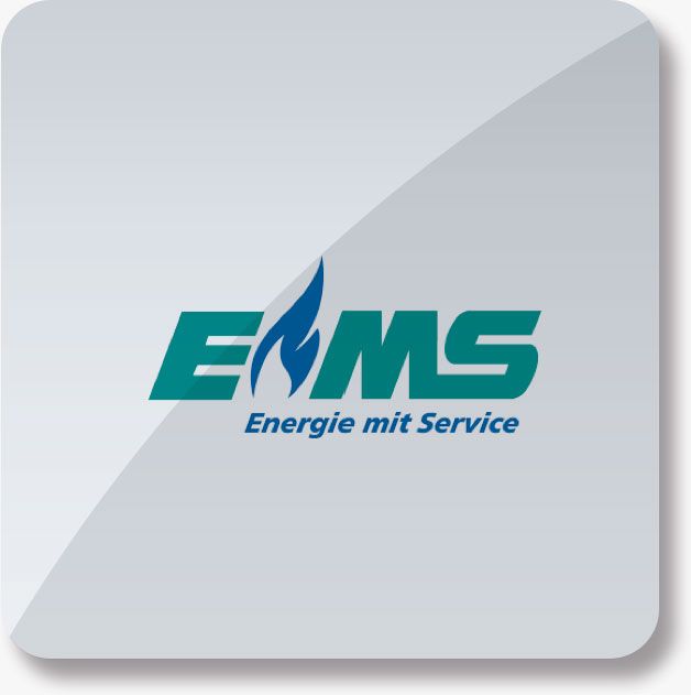 EMS Erdgas Mittelsachsen GmbH Brumby